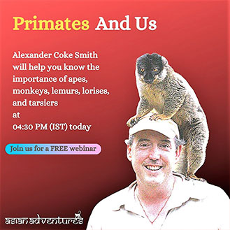 Primates-And-Us