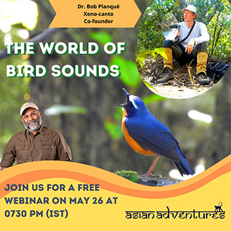The World Of Bird Sounds