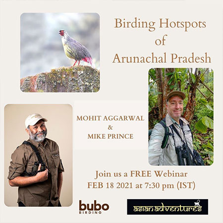 Birding Hotspots Of Arunachal Pradesh
