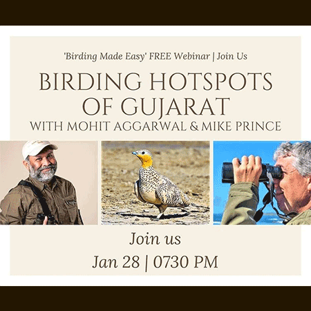 birding_of_gujarat
