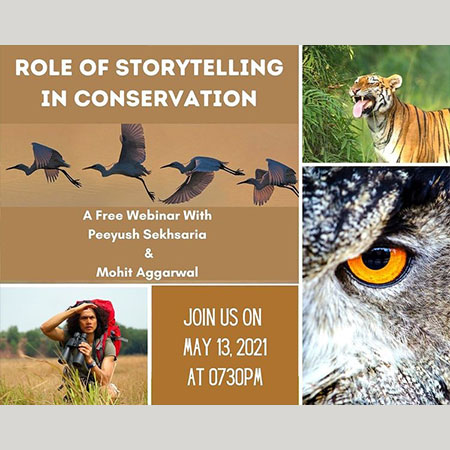 Role Of Storytelling In Conservation