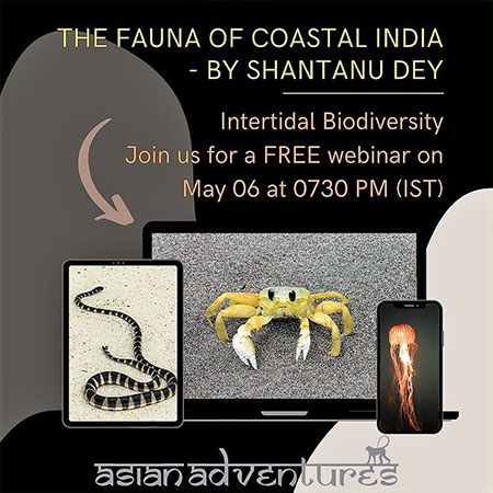 The Fauna Of Coastal India